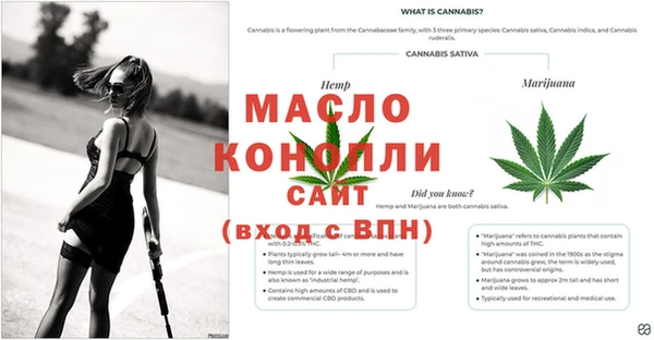 шишки Остров