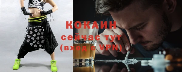 дурь Осташков