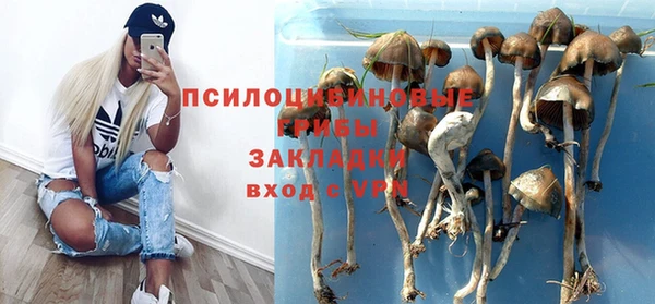 2c-b Нягань