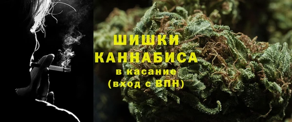 дурь Осташков